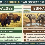 buffaloes or buffalos